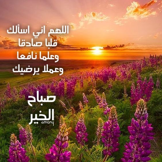 um salem (@umumsalem60) on Twitter photo 