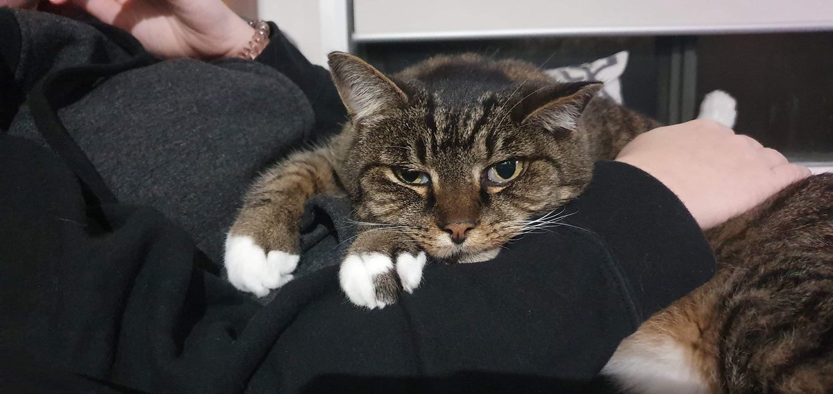 enn 🐍🐍 tweet media