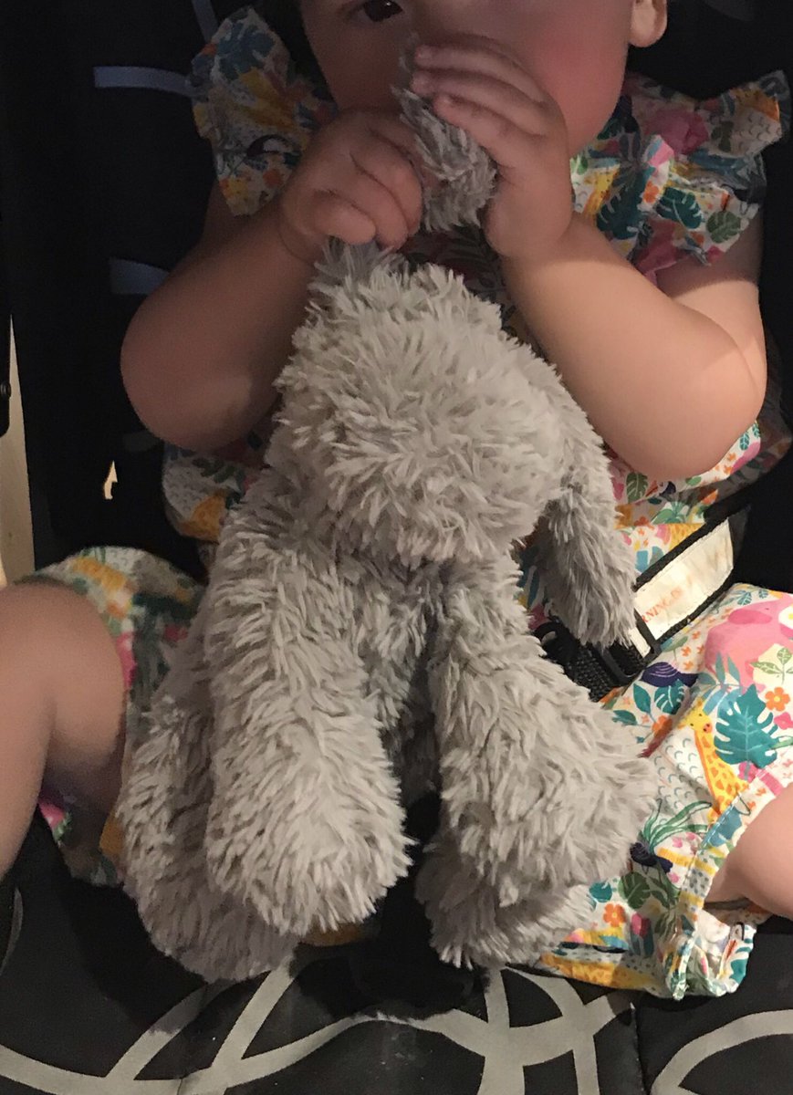 Help we LOST Ted 

<a href="/manairport/">Manchester Airport</a> at terminal 2 arrivals from Sicily flight 1am between carousal 2 &amp; bus stop C 

RT to get Ted back home please as he’s a much loved grey dog from <a href="/nextofficial/">Next</a> pictured here with Pepper only hours before. 

#lostteddy #manchesterairport