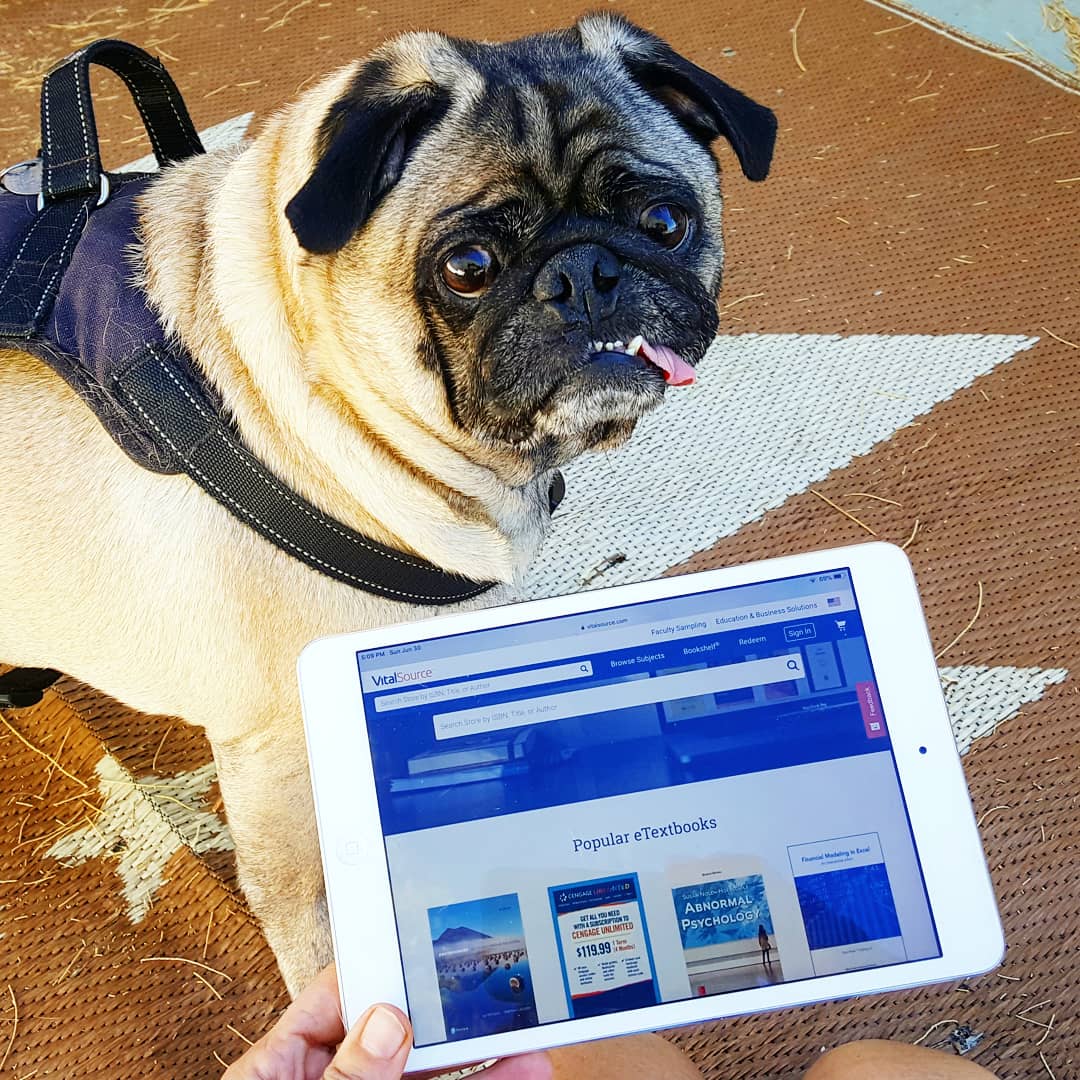 nurse_shannan's tweet photo. Fall classes coming up & Textbooks can be so expensive! @vitalsource where I can get everything I need for classes in one place. Over 1 million eBooks, and save up to 80% compared to new print textbooks. #GoDigitalWithVitalSource #VitalSourceBookshelf https://t.co/rLRvEC0UYg #ad https://t.co/rpvMN8T2JO