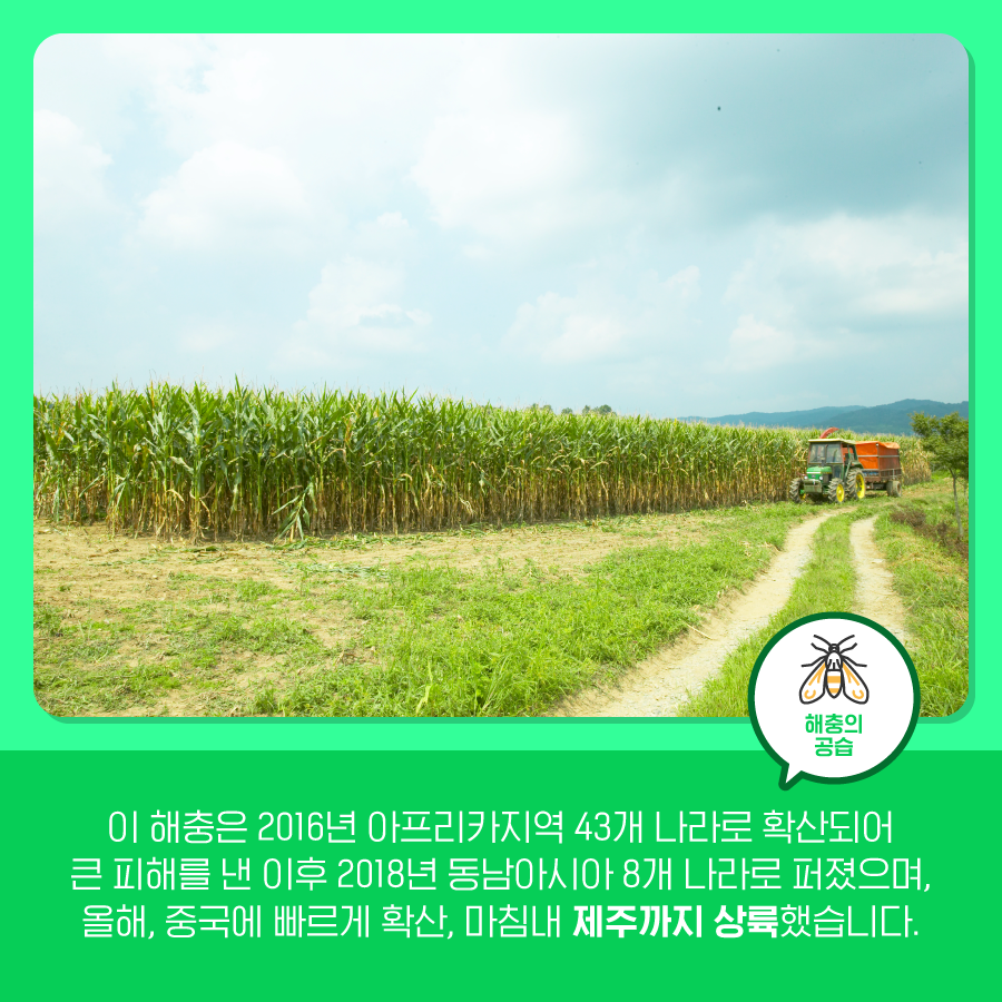 kcen1t's tweet photo. 기후변화로 인한 해충의 공습!
기후변화와 함께 등장한 열대거세미나방과
농작물 주산지 이동에 대해 알아보아요😊

블로그에서 보기
▶ https://t.co/ojemq9rCG4

#한국기후환경네트워크 #KCEN
#기후변화 #열대거세미나방 #해충
#농작물 #농작물_주산지_이동 https://t.co/bMslRSVI4O