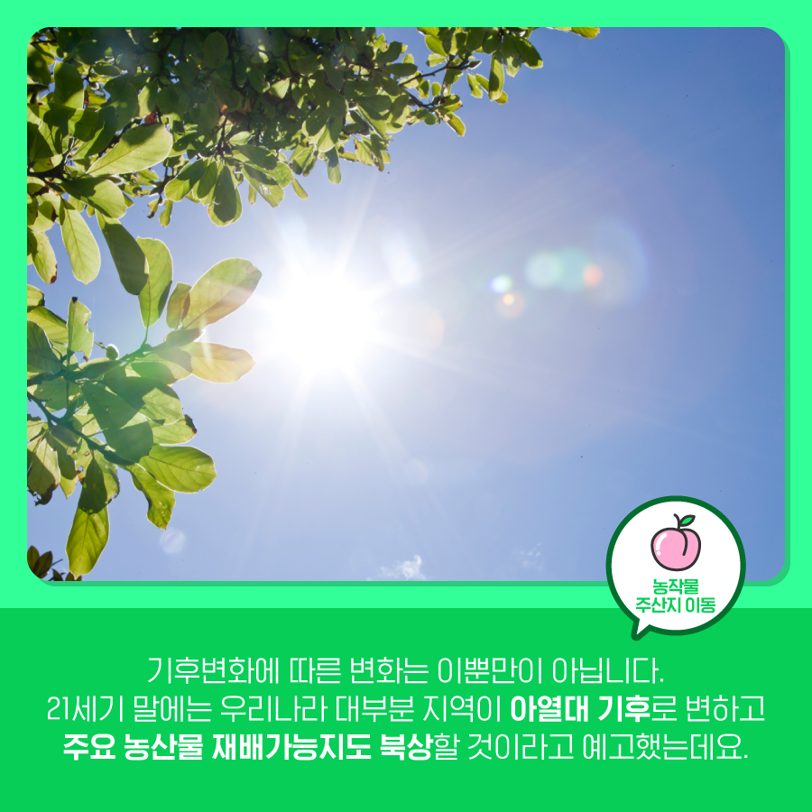 kcen1t's tweet photo. 기후변화로 인한 해충의 공습!
기후변화와 함께 등장한 열대거세미나방과
농작물 주산지 이동에 대해 알아보아요😊

블로그에서 보기
▶ https://t.co/ojemq9rCG4

#한국기후환경네트워크 #KCEN
#기후변화 #열대거세미나방 #해충
#농작물 #농작물_주산지_이동 https://t.co/aAUjf6LxFk