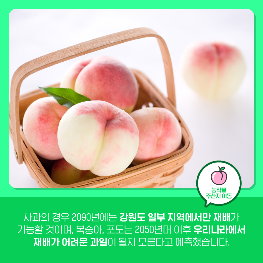 기후변화로 인한 해충의 공습!
기후변화와 함께 등장한 열대거세미나방과
농작물 주산지 이동에 대해 알아보아요😊

블로그에서 보기
▶ bit.ly/2XFkqUX

#한국기후환경네트워크 #KCEN
#기후변화 #열대거세미나방 #해충
#농작물 #농작물_주산지_이동