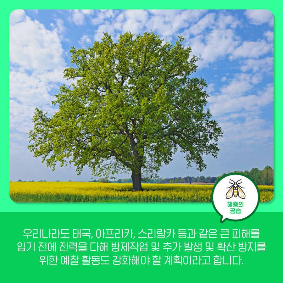 kcen1t's tweet photo. 기후변화로 인한 해충의 공습!
기후변화와 함께 등장한 열대거세미나방과
농작물 주산지 이동에 대해 알아보아요😊

블로그에서 보기
▶ https://t.co/ojemq9rCG4

#한국기후환경네트워크 #KCEN
#기후변화 #열대거세미나방 #해충
#농작물 #농작물_주산지_이동 https://t.co/aAUjf6LxFk