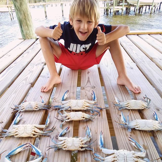 CompassCalling's tweet image. We’ve been a little quiet over here since the start of summer, but it hasn’t been for lack of adventure! We’ve settled in to our new home, visited with family (now close by 😍), and started new routines...like fishing and crabbing off our dock every e… ift.tt/2XCfm3D