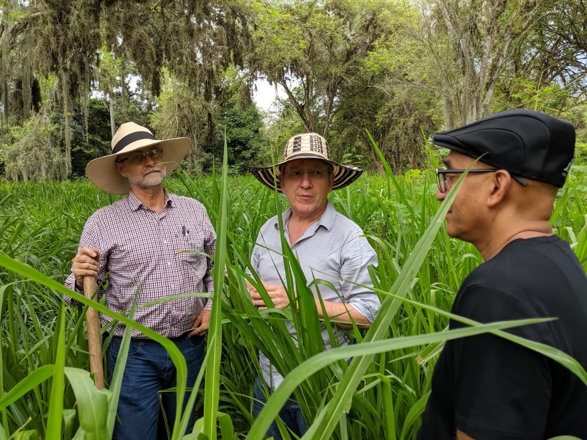 mcastroschmitz's tweet photo. Applying systems thinking to the complexity of production and food systems with Banny Banerjee and Annette Zhou from ChangeLabs/Stanford University ⁦⁦@nature_org⁩ @ResilienteCA⁩ https://t.co/RMHknjjggX