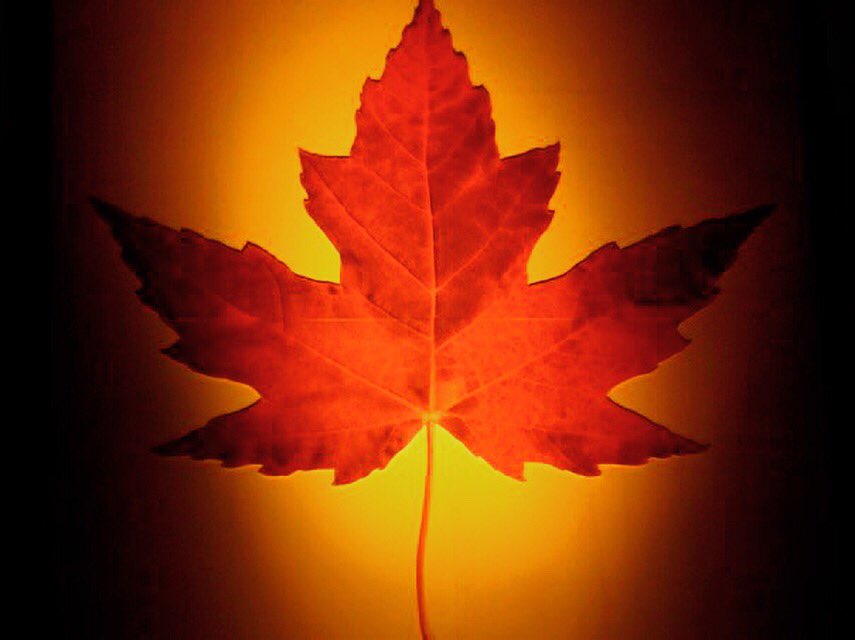 🇨🇦
Happy Canada Day!
🇨🇦
We are grateful to live and work in this big, beautiful nation of ours. We’re taking the day off to celebrate Canada with family and friends, we’ll see you on Tuesday!
🇨🇦
#truenorthstrongandfree
#truepatriotlove
#ohcanada
#canadaday
#floaton
#isospa