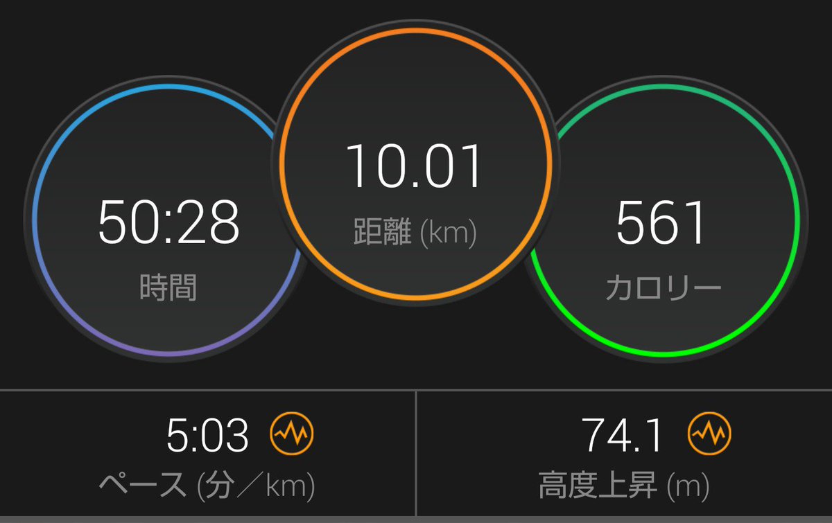 福澤 健一 トラスト英語学院 伊那市の英語塾 10kmのペース走で７月をスタート 初フルマラソンまで97日 継続あるのみ 庭のアルストロメリアがランニング後の心身を癒してくれます