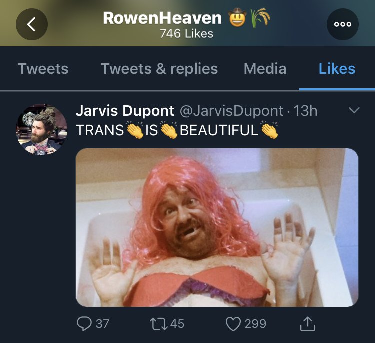 JasperNightlynx's tweet image. Hey Y'all, If Any Of My Follower Follow @RowenHeaven , Be Careful. They Have Racist And Transphobic Stuff In Their Likes. I Tried Talking To Them About It, Only For Them To Dodge My Concerns. They Also Follow @/JarvisDupont, Which Is An Account To Make Fun Of Trans People