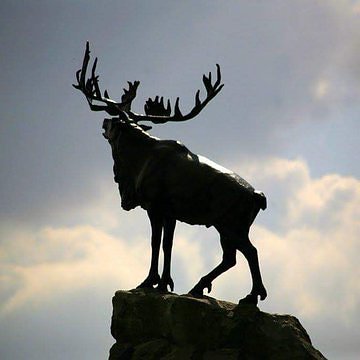 TheRooms_NL's tweet photo. Of the 801 who fought 103 years ago this morning, only 68 could answer the next day.

Remember Beaumont-Hamel, and all who fell under the shadow of war. https://t.co/bIFmj3N7Ii