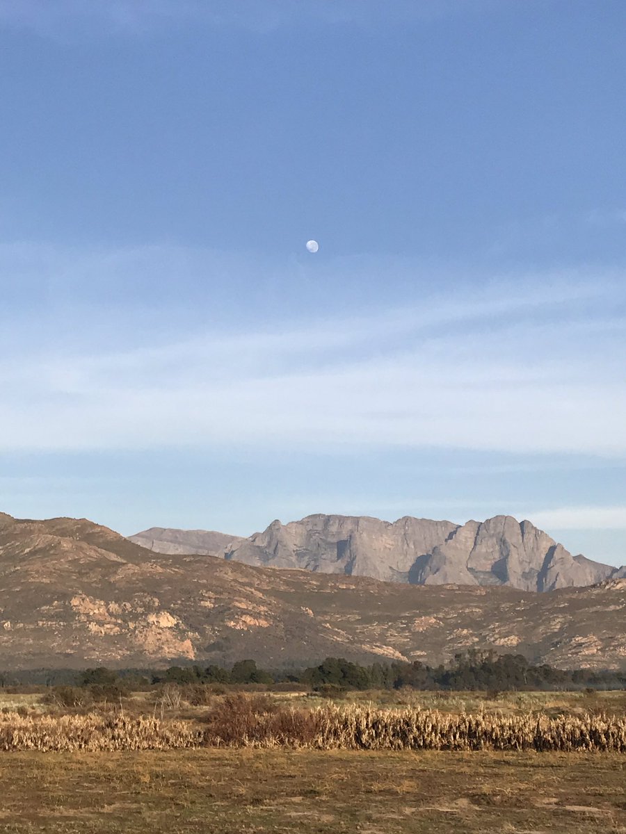 BitsRuby's tweet photo. Breedekloof Wine Valley Day 2 Blog Post is live βοΈ
Check it out here: https://t.co/kjjqwO0MWz
Don't forget to get your tickets to Soetes and Soup 2019 coming up next weekend! π·
#littlebitsofruby #bloggerofsa #mediatrip #discoverBreedekloof #ExploreWorcester #winetasting https://t.co/knTTelWetQ