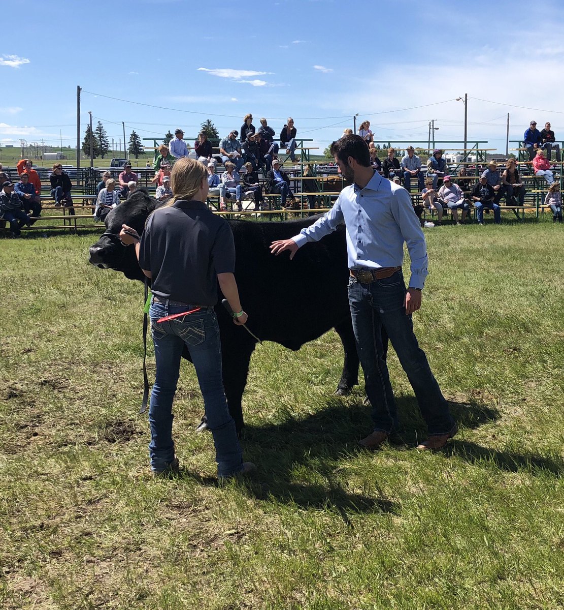 So proud of all our 4-H members for a great showing at the Regional show! Mankota 4-H Beef Club had a great year! #grandaggregatewinners #proudleader