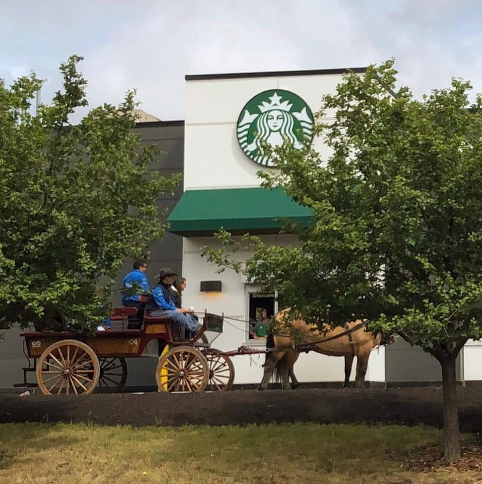 Can you tell the rodeo is on? 🤣