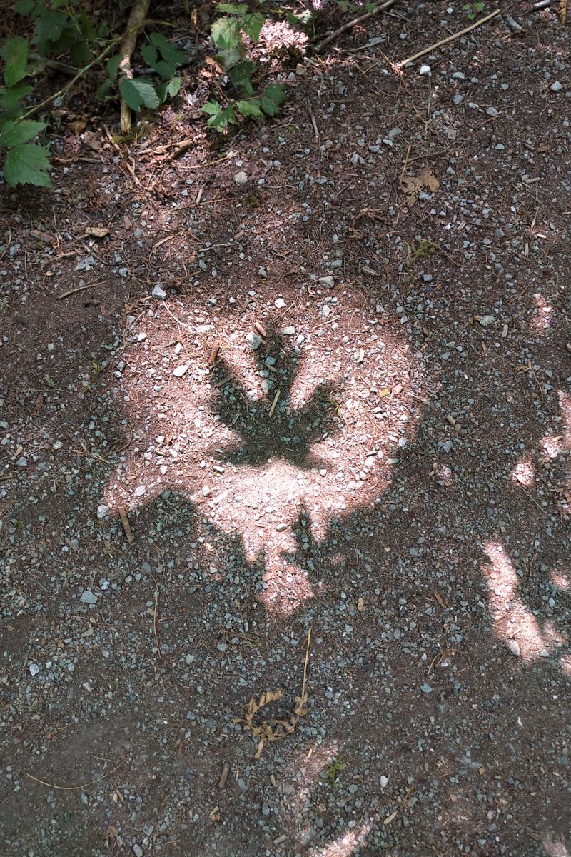 HAPPY CANADA DAY! #CanadaDay #CanadaDay2019