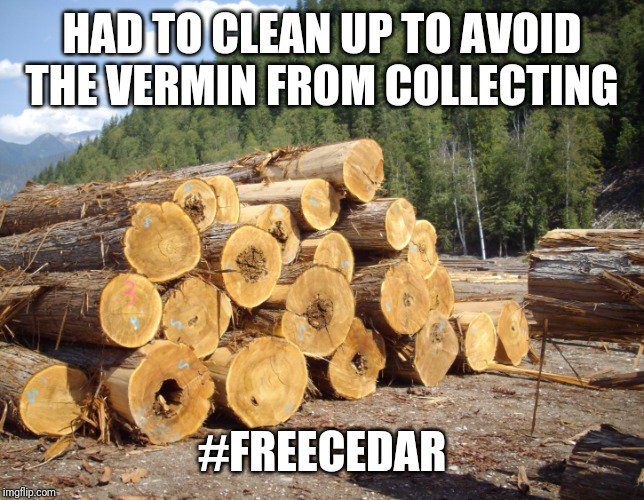 realGDubbs's tweet photo. #freecedar https://t.co/JtR38PvOoA