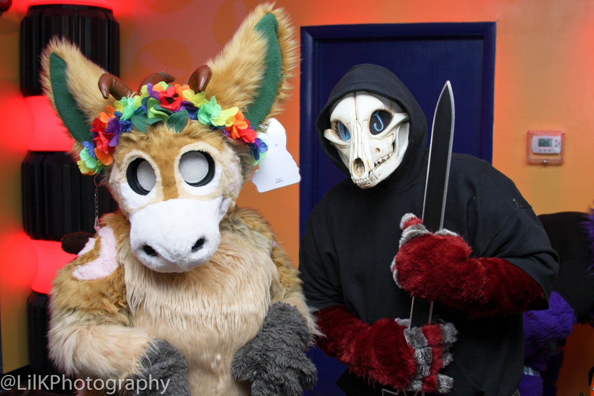 LilKPhotography's tweet photo. Had fun this weekend at the 34th #WooBowl! Check out my 📸 here: https://t.co/lk2W72hQjD Here are some sneak peaks! Happy birthday to @NishaBlueFloof &amp; @HRushheart! https://t.co/TvbH7XlXKj