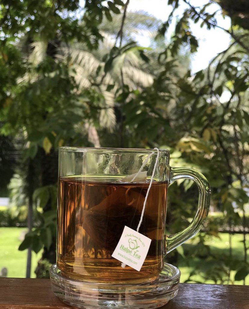 Best way to start the morning 
.
@halpe_tea_thailand 
.
#halpétea #ceylontea #teaaroundtheworld #halpeteathailand #srilanka #finetea #teastory #sunshineinacup #instatea