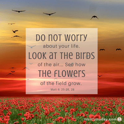 Trusting God in the Darkness (Matt 6:25-27) fruitfultoday.com/trusting-god-i…