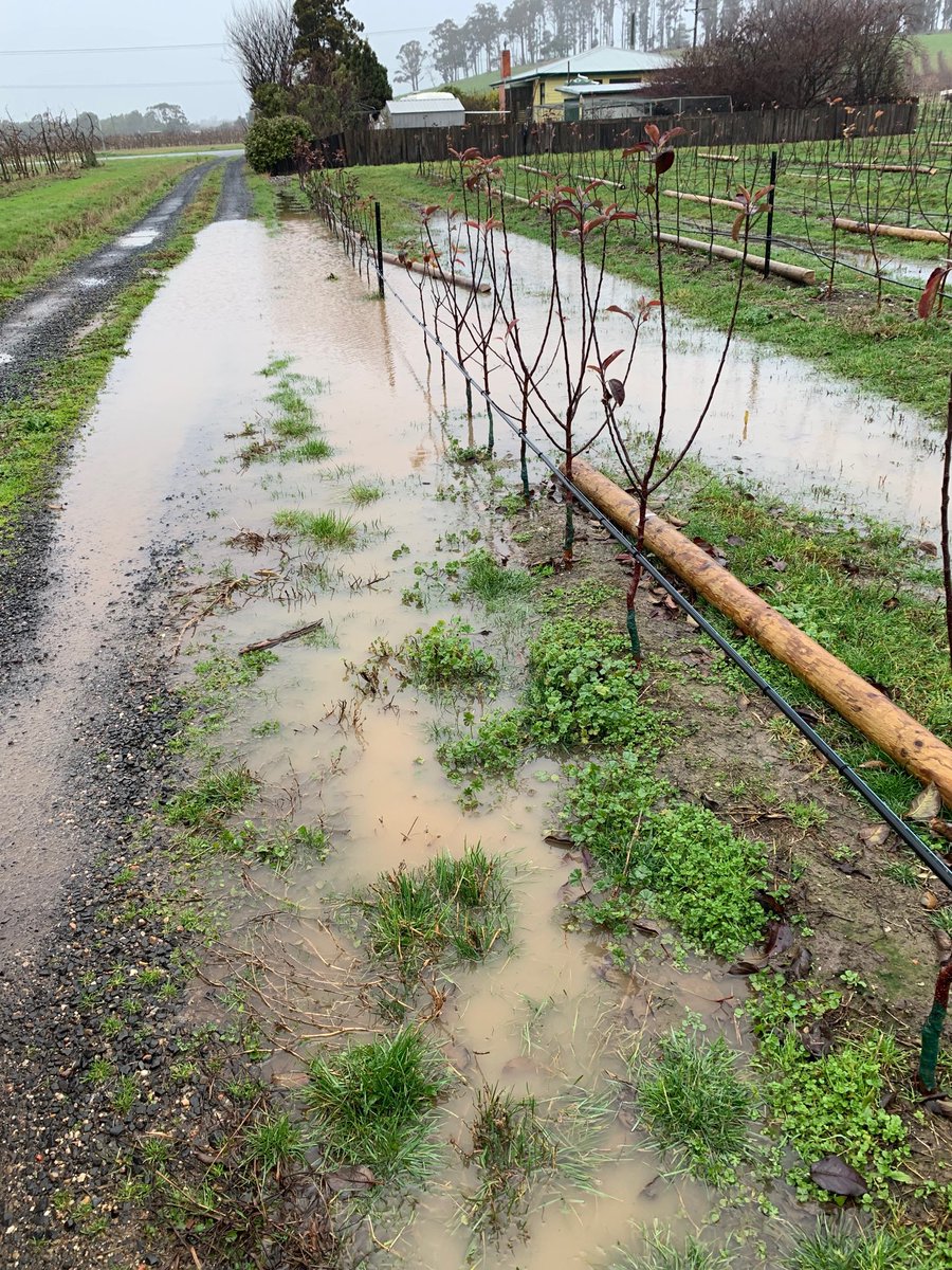 Thanks. I think that’s enough rain now. ☔️😀