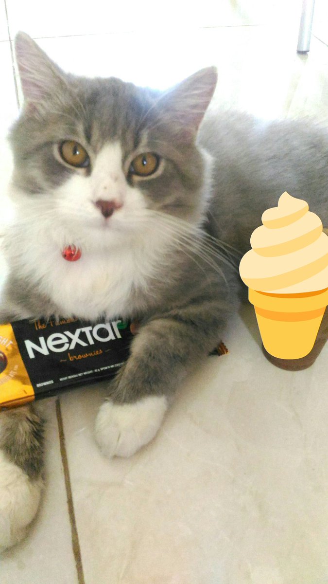 jefrycandra28's tweet photo. Memantau te el 😽
#Jack2 https://t.co/czITrHTceF