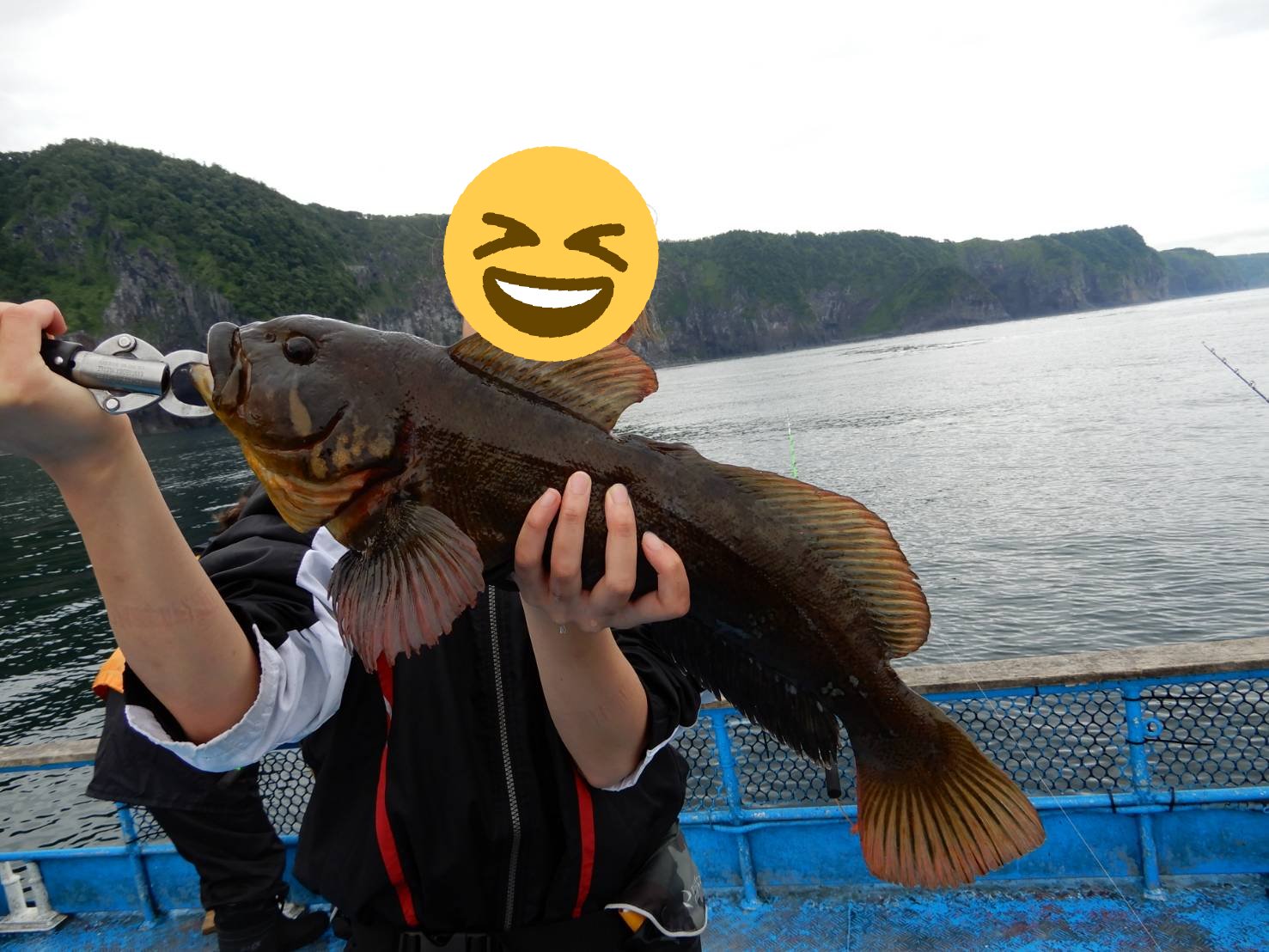 まい 7人中5人オオカミウオをキャッチする中 自分は釣れず 代わりに53cmのウサギアイナメ シマゾイ マダラが釣れました オオカミウオリベンジするぞ オオカミウオ ウサギアイナメ シマゾイ 知床 ウトロ 牛若丸 船釣り 怪魚 Getならず