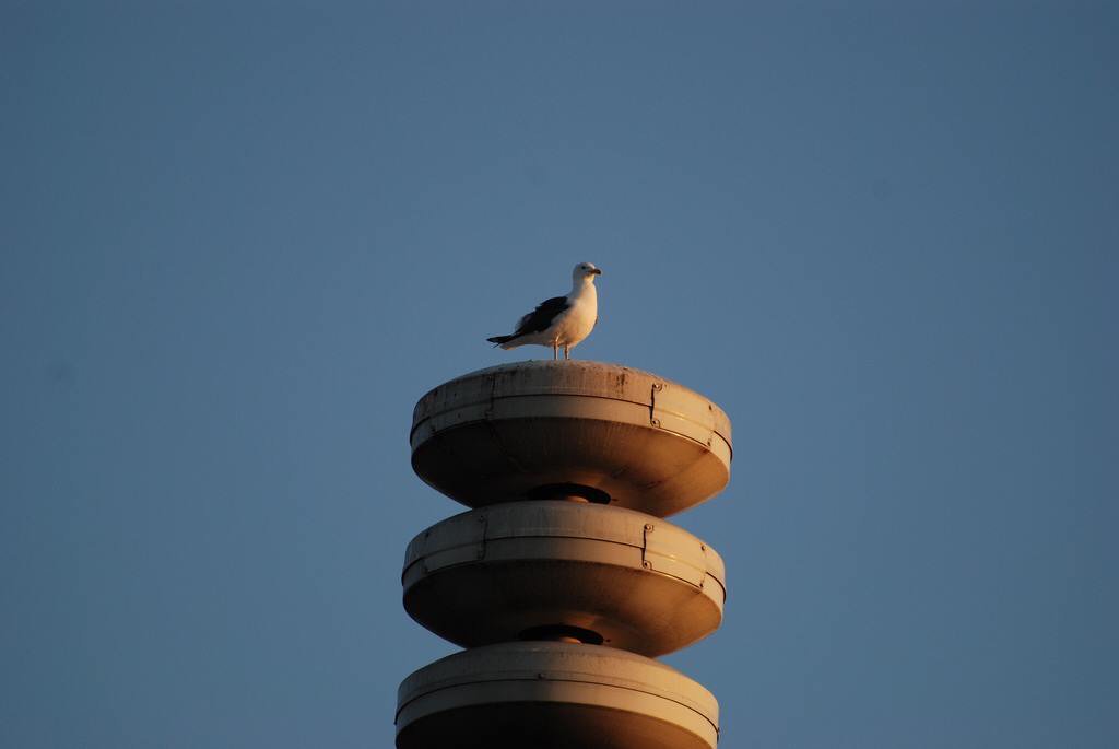 Het is de 1e maandag van de maand. Het #luchtalarm-systeem zal om 12:00 uur weer landelijk getest worden.
#Sirene