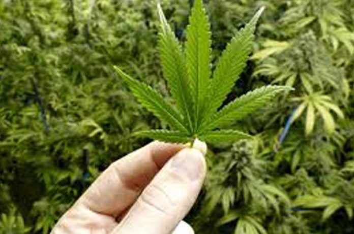 TusciaUp tweet media