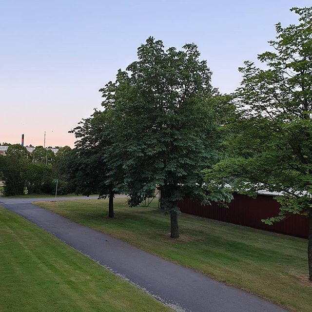 Hexanguine's tweet photo. This is 4:30am in summer here in Sweden. The sun is pretty much up & the birds are singing, but everyone is still in bed.
#sweden #summer #swedishsummer #shortnights #longdays https://t.co/MDbtBJd9sm https://t.co/wMmy4l7E9h