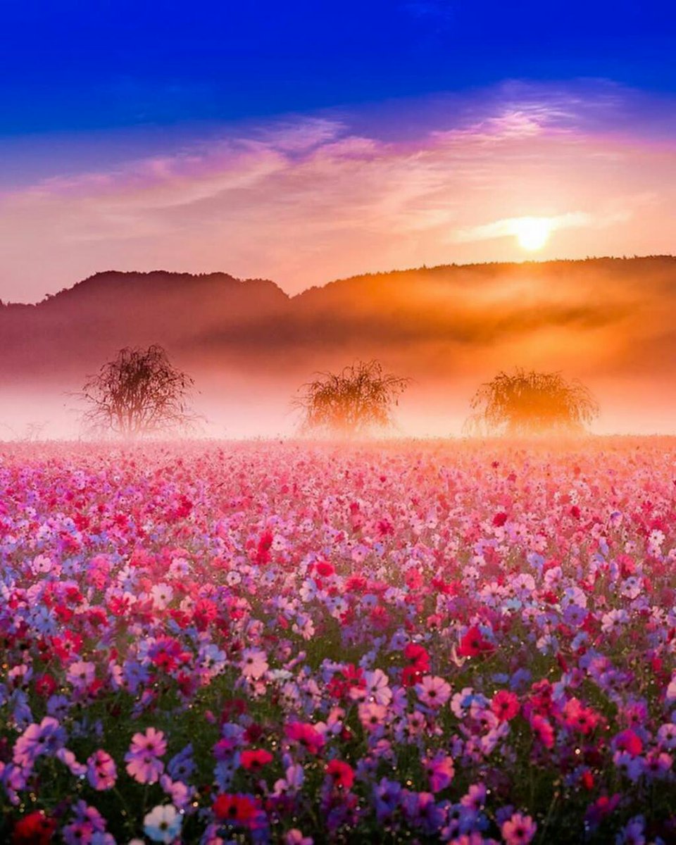 ALAAALDIN71A's tweet photo. ■��ال ابن القيم  - رحمه الله - : 

من تربى في العافية ؛ لا يعلم ما يقاسيه ⁧المبتلى⁩ ، ولا يعرف مقدار النعمة ! 

 مفتاح دارالسعادة ١/٢٩٣ 

صباح التفاؤل https://t.co/1tH8c7qy9L