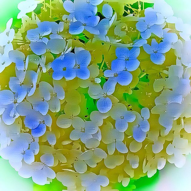 kikutaroid's tweet photo. 無題
#街歩き
#scene
#花 #flower
#植物 #plants
#路傍 #roadside
#canon #powershot #powershotg12 #g12
#compactdigitalcamera #comdigi #oldcomdigi
#10megapixels
#maxcurveapp https://t.co/ibh2FiX7p6 https://t.co/eLjz7I0mgn
