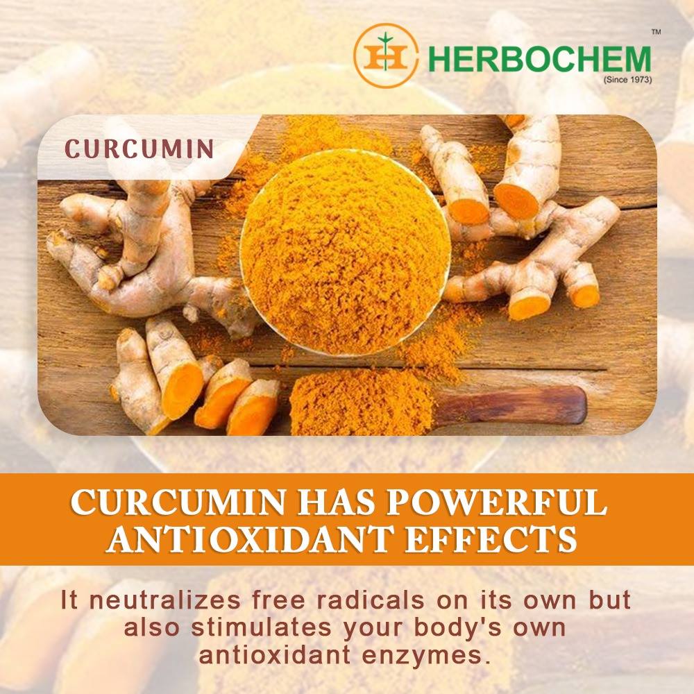 Herbochem1's tweet image. #curcumin #curcuminextract #doctorsday2019 day