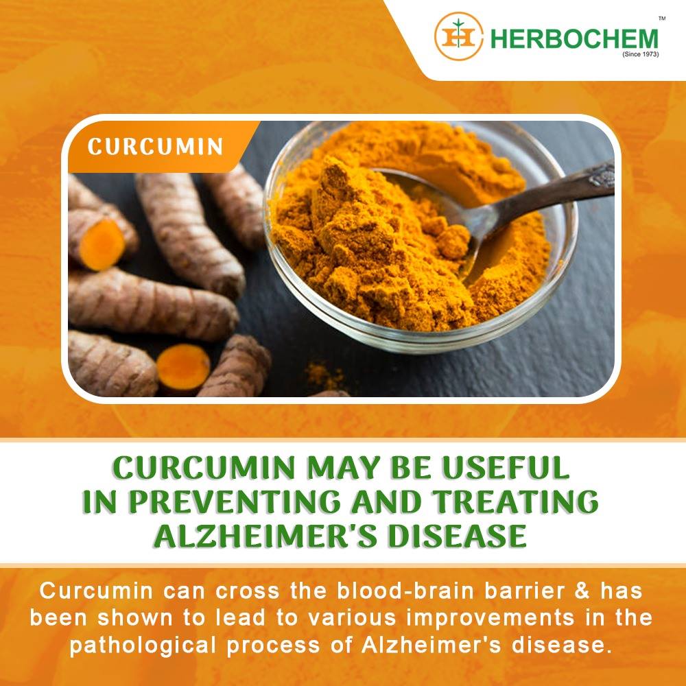 Herbochem1's tweet image. #curcumin #curcuminextract curcuma extract