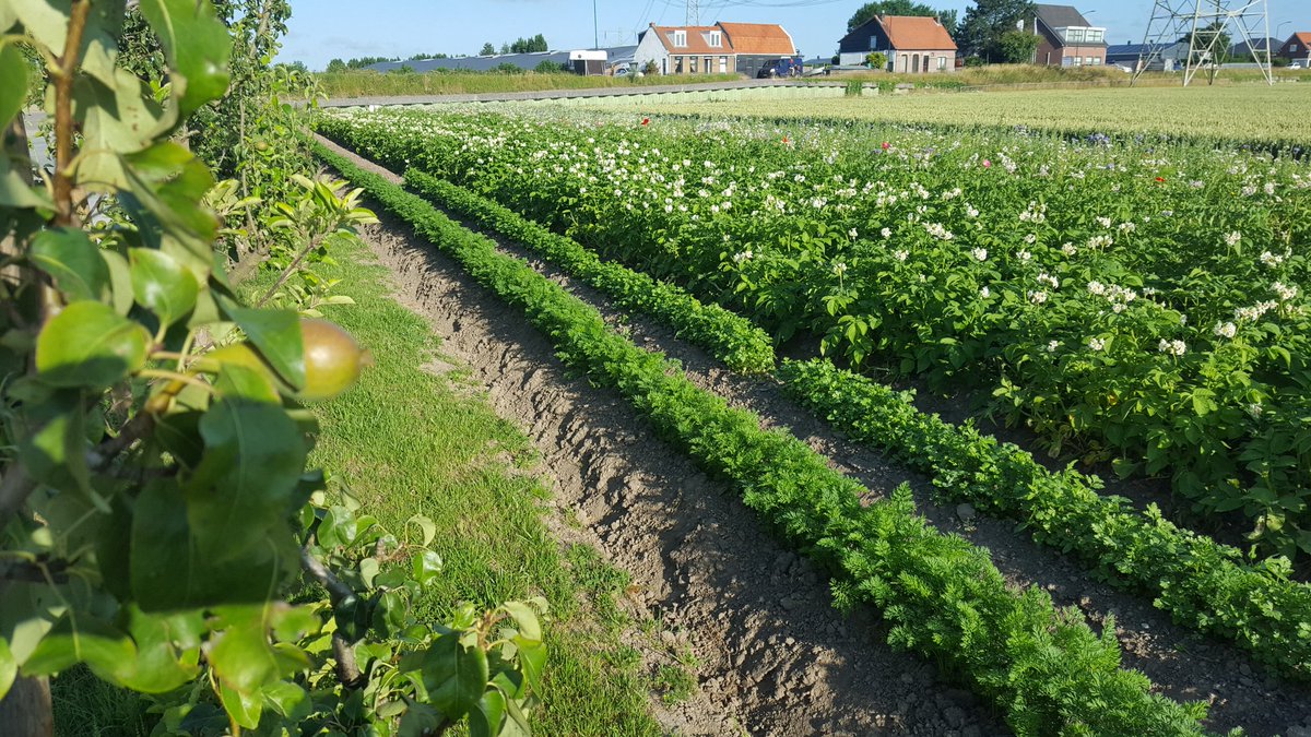 Groeizaam weer in de biotuin!