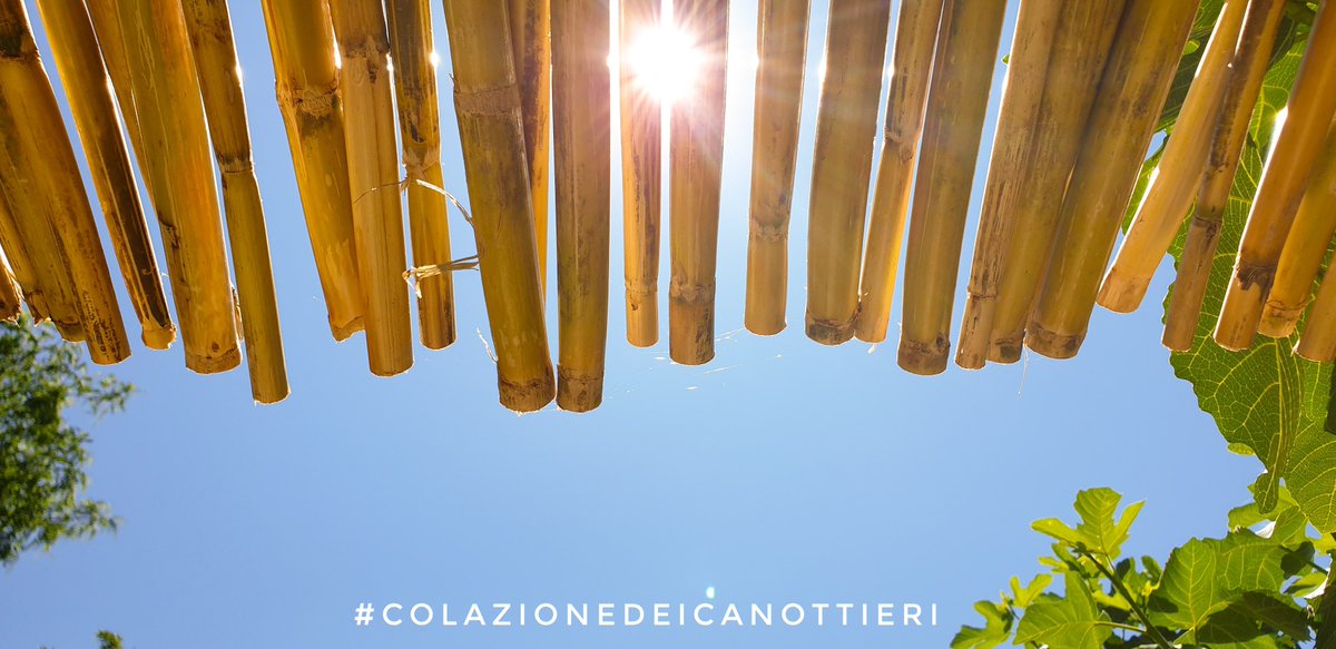 BB_CCanottieri's tweet photo. #Benvenuto Luglio!
#1luglio 
#bedandbreakfast #ColazionedeiCanottieri https://t.co/mJchmMbjBd