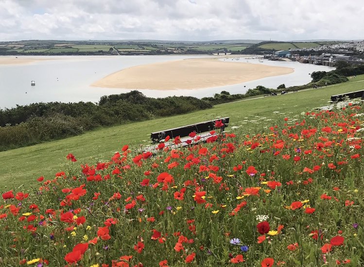 Monday morning view, from us to you.