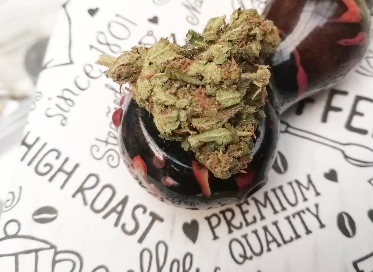 #WakeandBake this AM - High Roast and Premium Quality 💯💚
Nothing like a Bowl of Cheese with a Premium Coffee to kick off a Monday 🔥
#wakenbake #cannabruza #ukcheese #glasspipes #strongcoffee #coffeeandweed #naturalhealing #cannabissouthafrica #growyourown