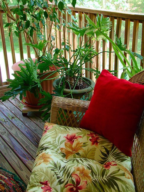 cdiffFoundation's tweet image. #CdiffSurvivors #CdiffFree #patients try to have a peaceful day and we send you get-well wishes with continued healing.