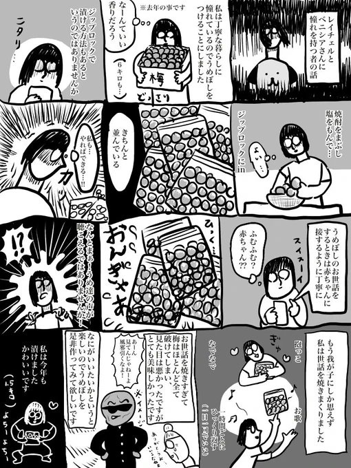 小心者のうめぼし作り 