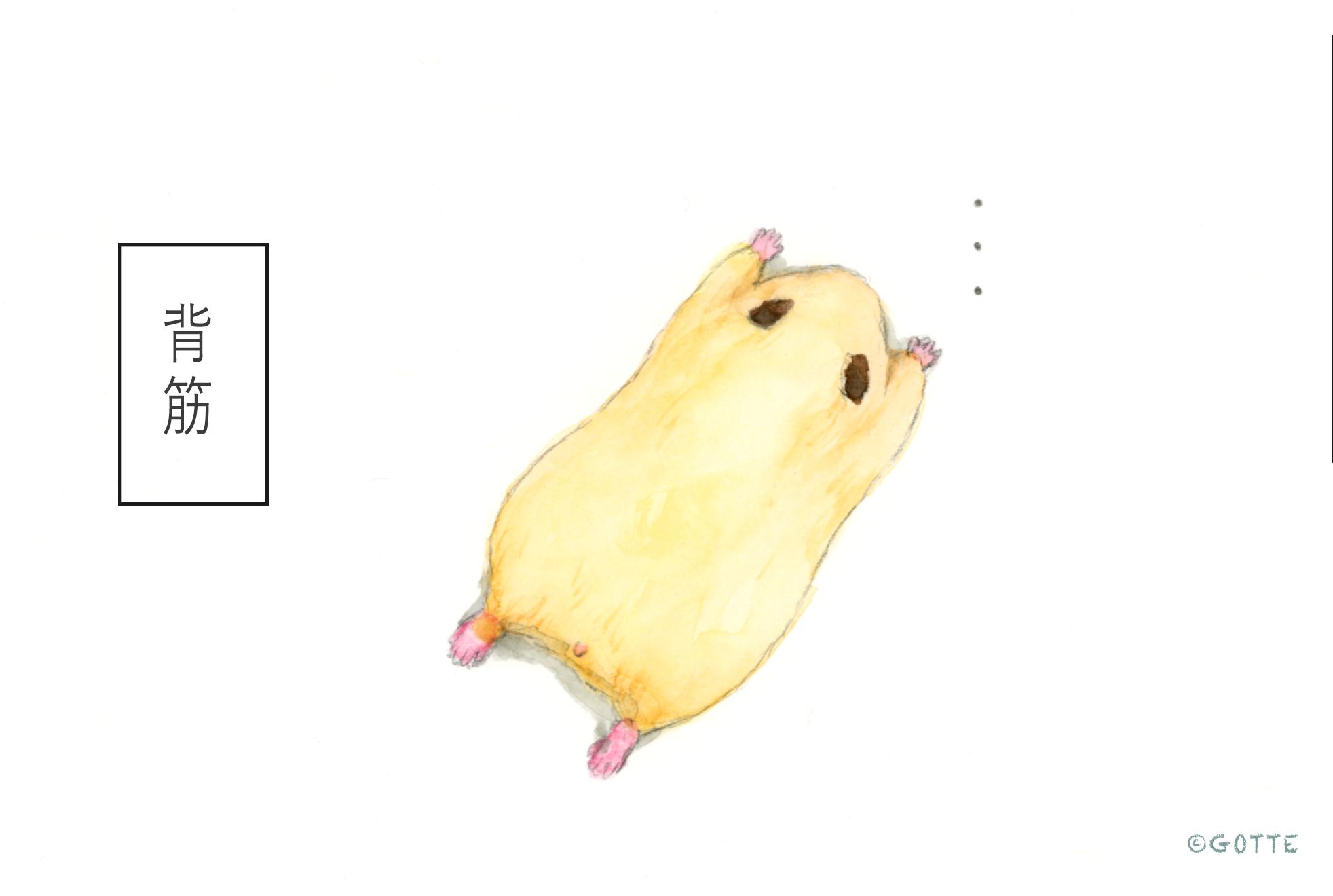 Gotte Hamsterpainter 筋トレをしてみよう T Co 9ilwlvhd7o Twitter