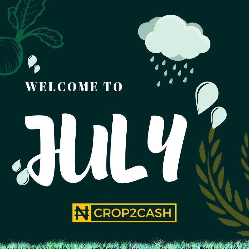 Happy new month! 
Welcome to July and the second half of the year!

Who is as excited as we are to do new things and get better?

#July1st #July #newmonth #newweek #2019goals #happynewmonth