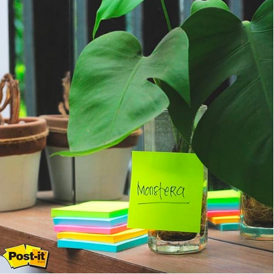 DFournitures's tweet photo. Bravo à Morgane B. et à Christine D. gagnantes du WE, qui recevront 1 surprise de @PostitFrance 🍏 Des idées lumineuses comme apprendre le nom des #plantes avec des #notes #postit 🌱🌿🌴🍀🌳 Pour jouer avec #maped ☀️ https://t.co/AQw5N9QHAp ! Bonne journée #directfournitures https://t.co/Jh6IHW3oO1
