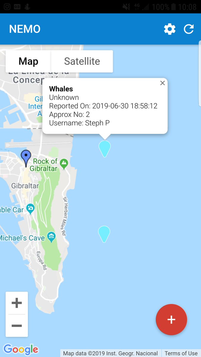 Lewstag's tweet photo. More Finn whales reported on #NEMO yesterday along #Gibraltar coastline. These animals will continue to migrate along this side over the next 10-15 days so please keep an eye out and ENJOY! 🐋🐋🐋🐋
Boat users please keep to #CetaceanProtocol
🐋🐋🐋🐋
Sighting credit: Steph Piri https://t.co/1R30ADo3zQ