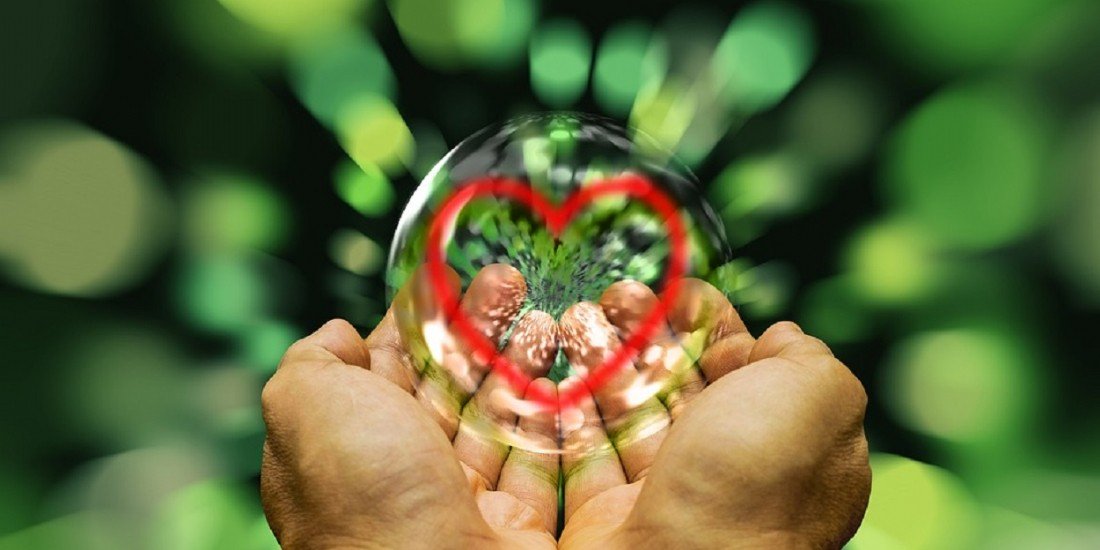 Avoir une stratégie de #marketing, c'est bien. Si elle est #écolo, c'est mieux ! 👍🌱 Voici comment la mener à bien 👉ow.ly/xD2g50uLoBb <a href="/Emarketing_fr/">Emarketing.fr</a> #MondayMotivation