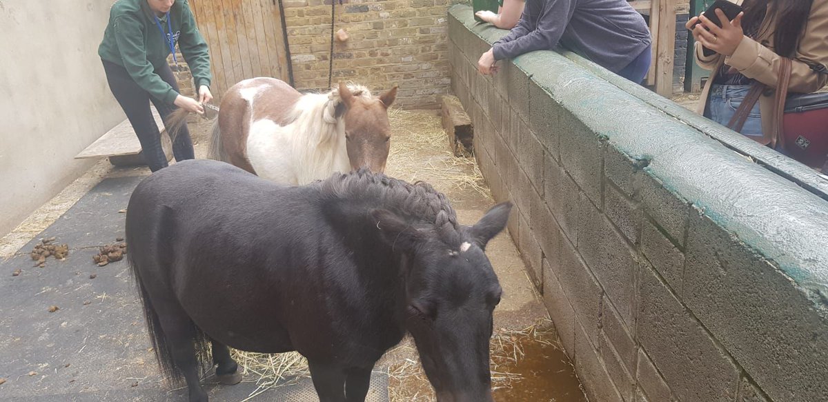 This is what we’ve been up to...

Tell us what you do, to make Monday’s more bearable... 👀