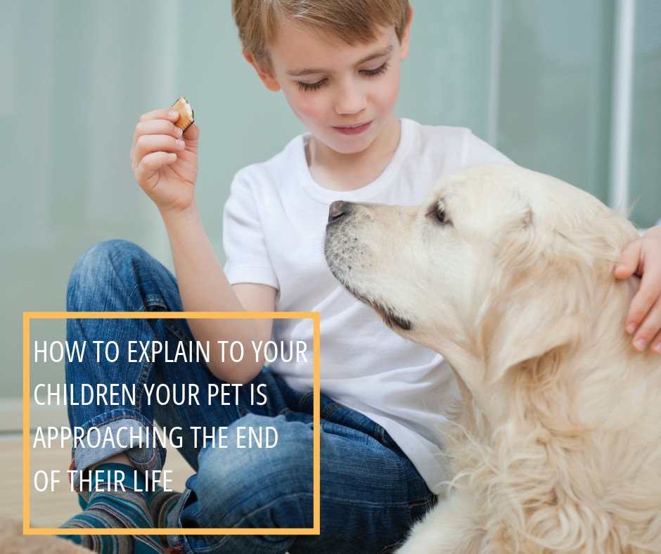 Children are very perceptive and it is important, to be honest with them and to explain what is happening with their pet in a sensitive manner and in a way they can understand. 
Visit our Blog and read more ➡️ bit.ly/300DgmO