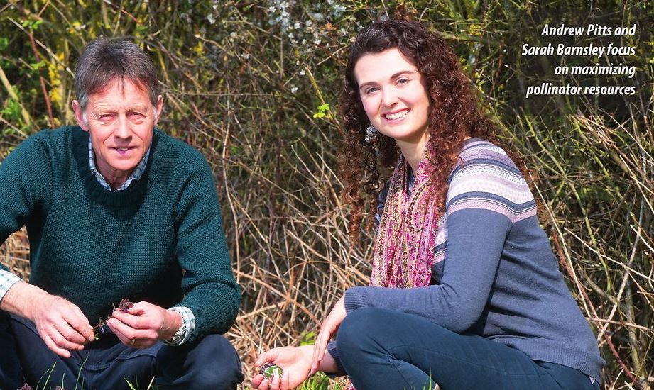HutchinsonsAgUK's tweet photo. Maximising Pollinator Resources at the Whole Farm Scale
The farm-scale #HelixProject is working with the University of East Anglia to sponsor PhD student Sarah Barnsley (@Barnsley_SL) to look at how we can increase pollinator resources across UK Farms
https://t.co/JFjOfDasOK https://t.co/Mc5cndpFp7