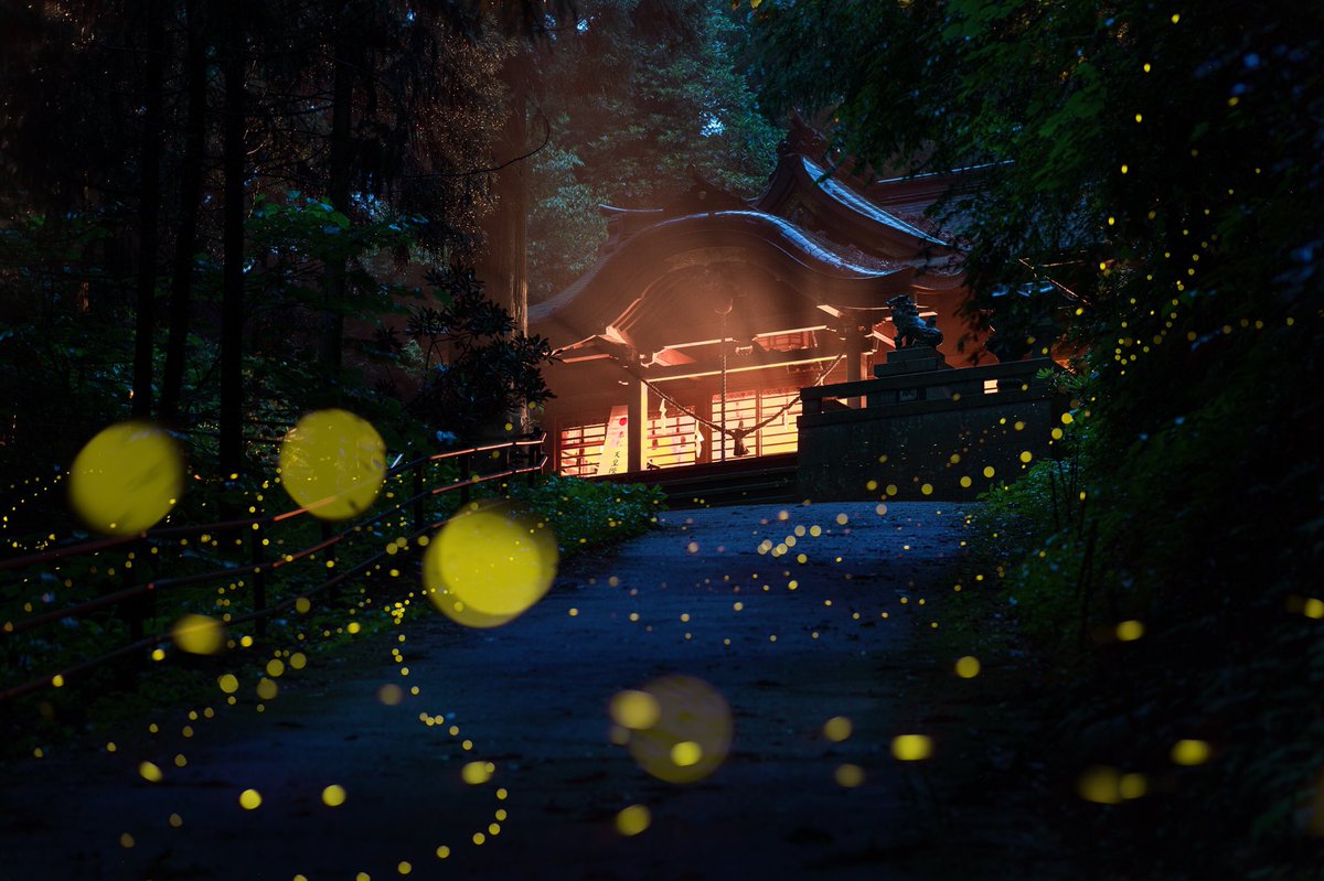 みちすけ☆ ℤ 9 (@michisuke_600f4) / Posts / X