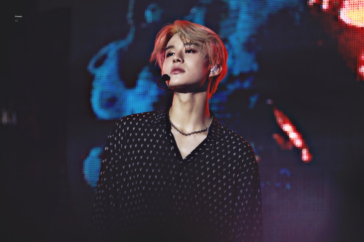 𝐏𝐫𝐢𝐦𝐮𝐥𝐚. tweet media