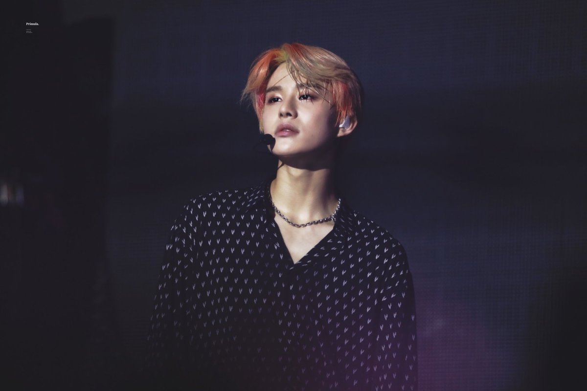 𝐏𝐫𝐢𝐦𝐮𝐥𝐚. tweet media