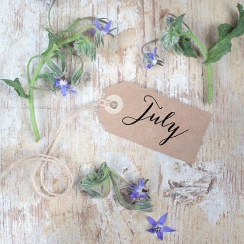 RevoltApparel's tweet photo. Hello July 😊. @revoltapparel_sa has exciting news for the month of July. Stay tuned to our social media pages for more information. 

Fb : Revolt Apparel
Twitter : @RevoltApparel 
Shop: https://t.co/SstqK3nsCo https://t.co/x5RXq81feD